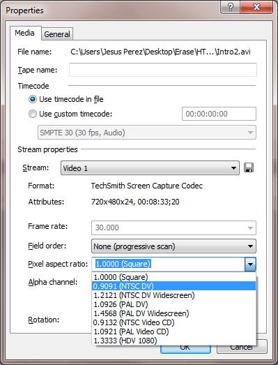 Sony Vegas Pro Pixel Aspect Ratio